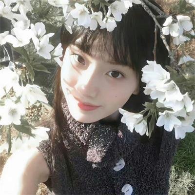 花果山传