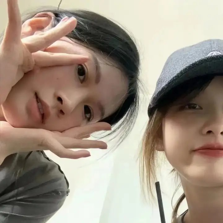 藏獒多吉